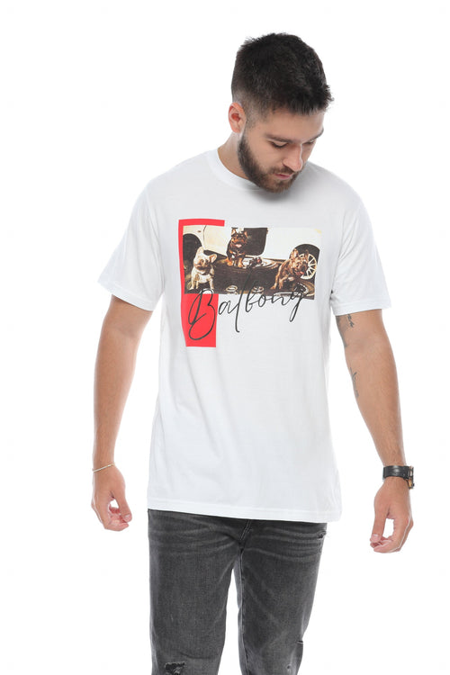 Camiseta Three Bull Dog's Blanca - Balbony Colombia